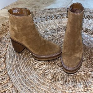 Steve Madden Shaniya Brown Suede low boot